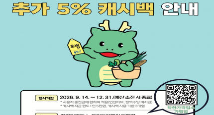 ����Ư�ʽ�, ���Ѱ��ݾ��� ���ο������� ���� �� 5% ĳ�ù� ����